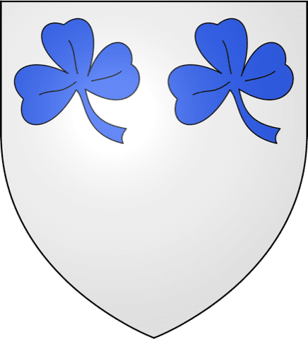 Ramoneur Fort-Moville