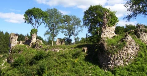 Ramoneur Montfort-sur-Risle